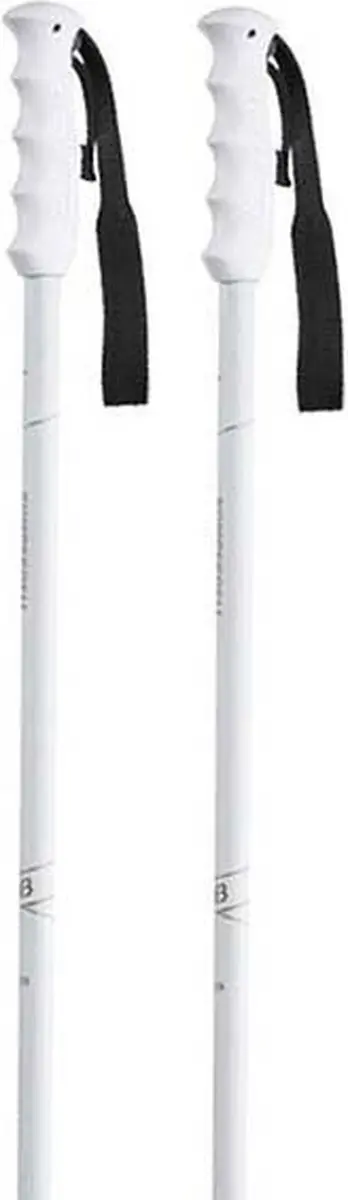 Komperdell Blazer Stokken Zilver 120 cm