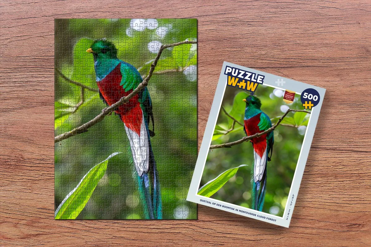 PuzzleWow Legpuzzel Quetzal Monteverde 500 Stuks - Multicolor