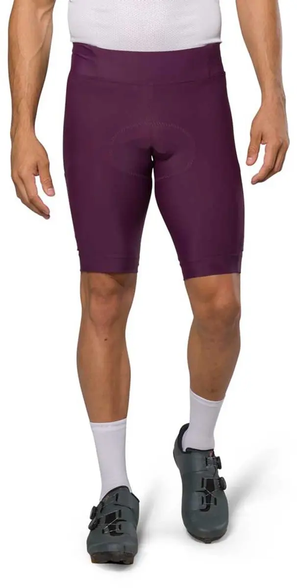 Pearl Izumi Expedition Broek Zonder Bretels Paars 3XL Man