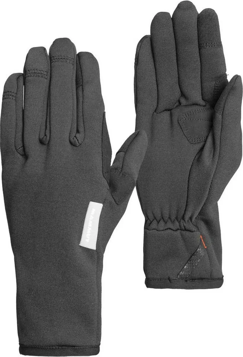 Mammut Fleece Pro Handschoenen Zwart 7 Man