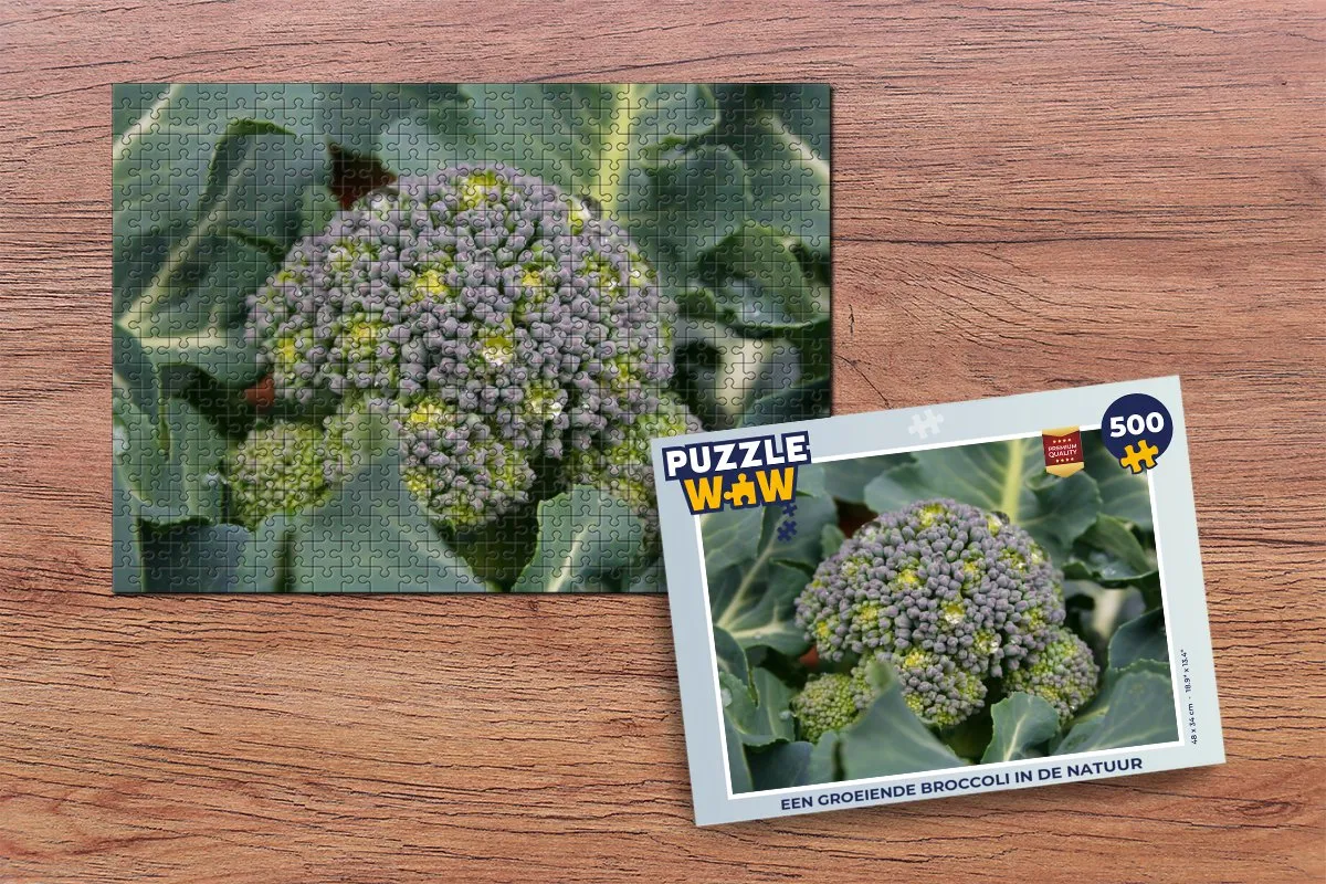 PuzzleWow Legpuzzel Groeiende Broccoli 500 Stuks - Multicolor