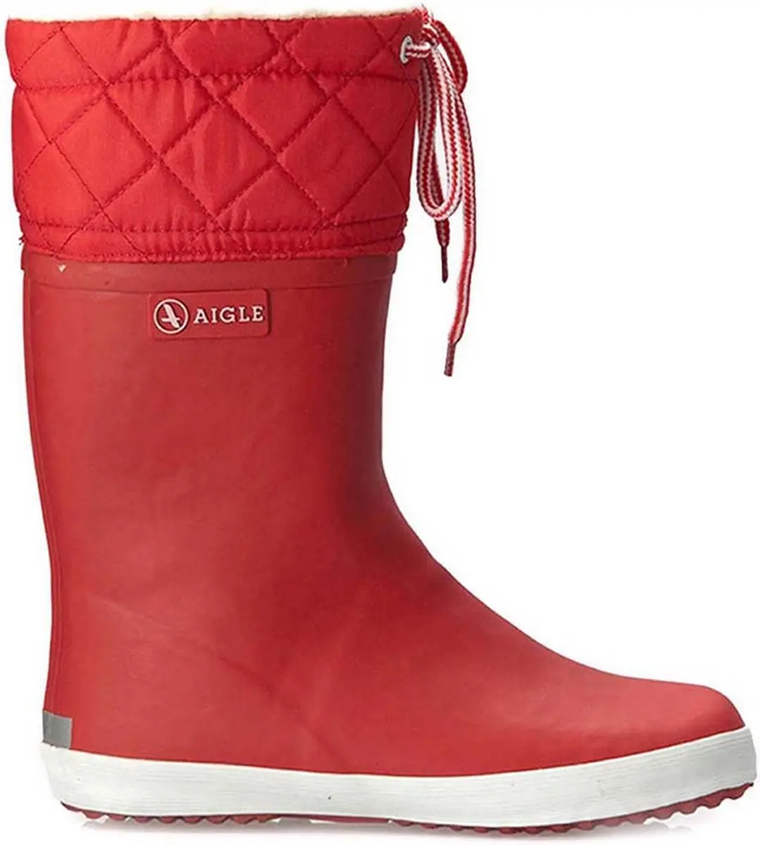 Aigle Giboulee 2