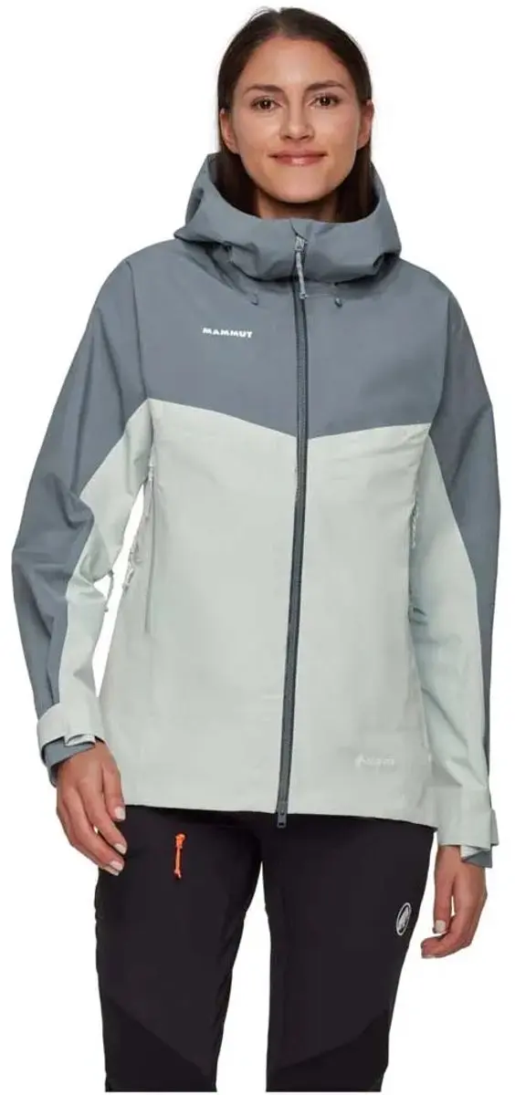 Mammut Crater Iv Hardshell Gore-tex® Jas Grijs M Vrouw