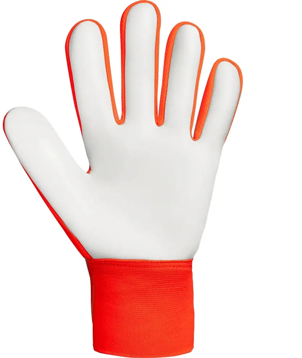 Reusch Attrakt Starter Keepershandschoenen - Oranje/Blauw - Maat 8 - afbeelding 6 van 6