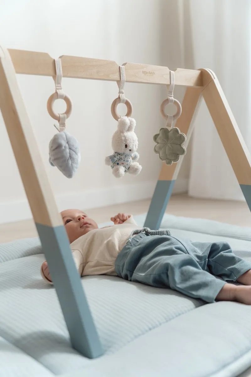 Nijntje Little Dutch Babygym Lucky Leaves - 3 Speelelementen