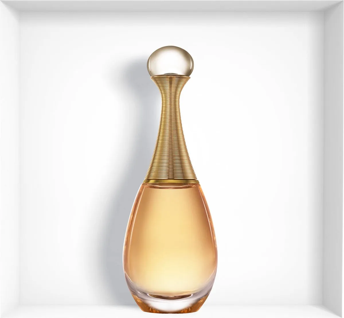 Dior J'adore Eau de Parfum 100ml