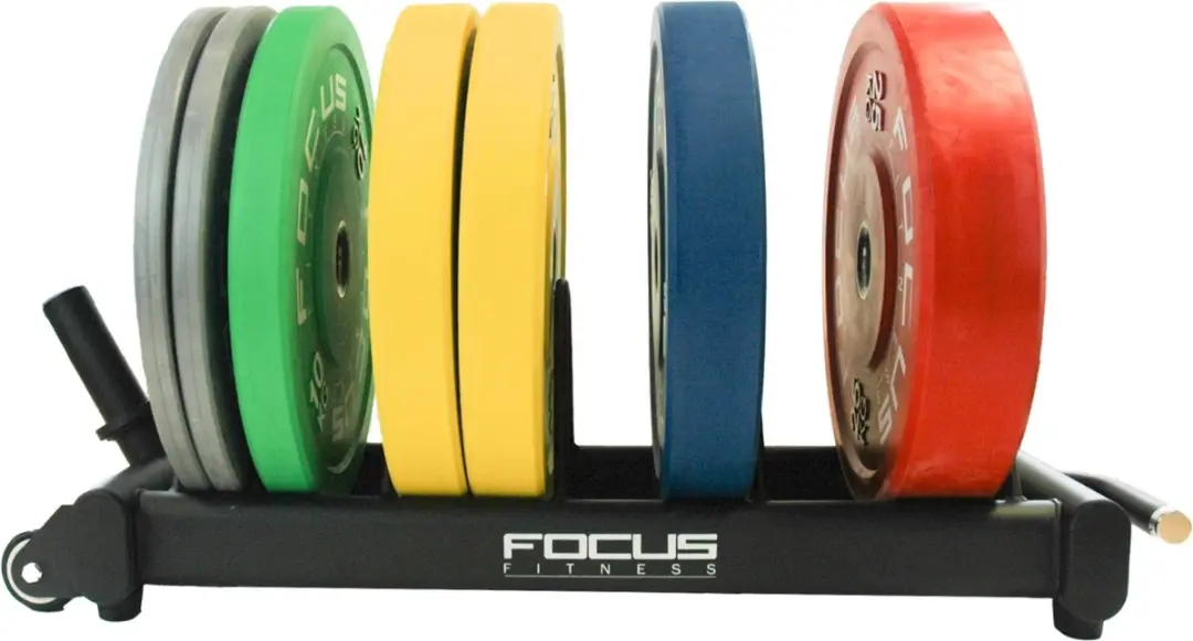 Focus Fitness