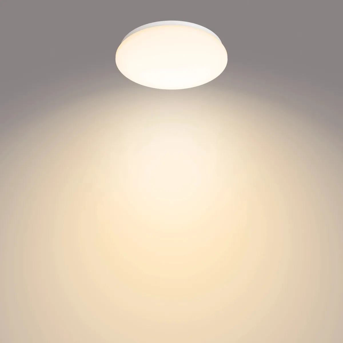 Philips Moire Plafondlamp - 22.5cm - Warmwit 2700K