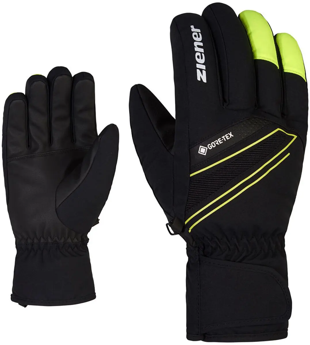 Alpine skihandschoenen Ziener Gunar GTX