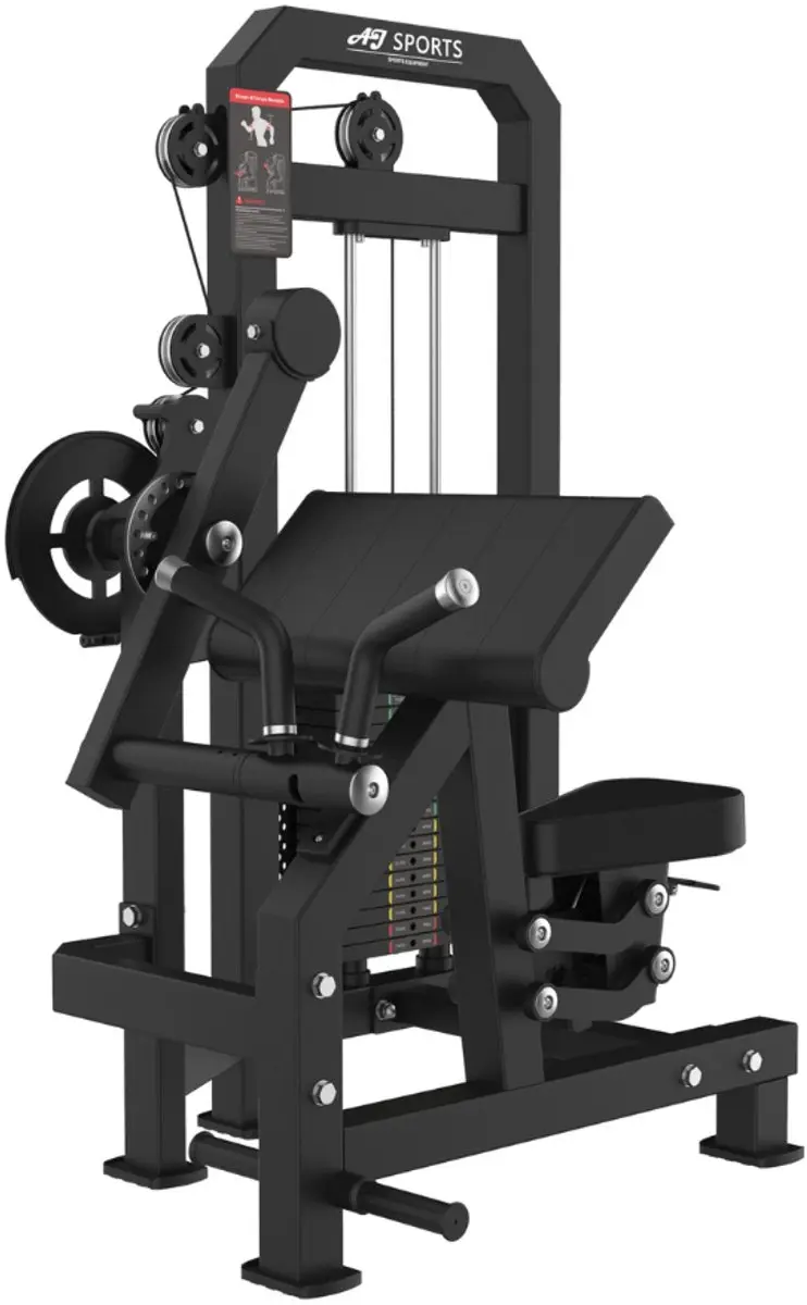 AJ-Sports Bicep Curl & Tricep Extension Machine