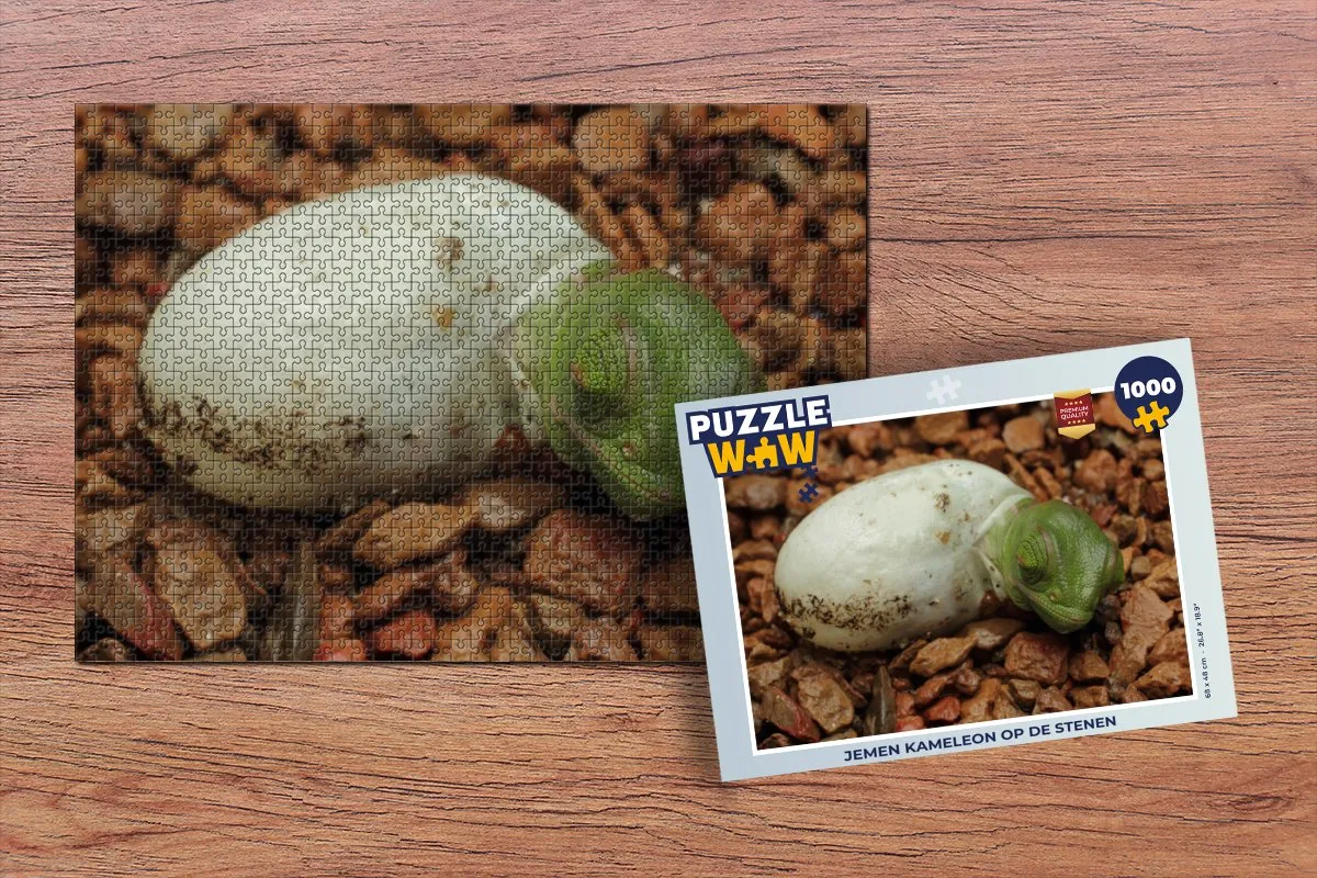 PuzzleWow Legpuzzel Kameleon Ei 1000 Stuks - Multicolor
