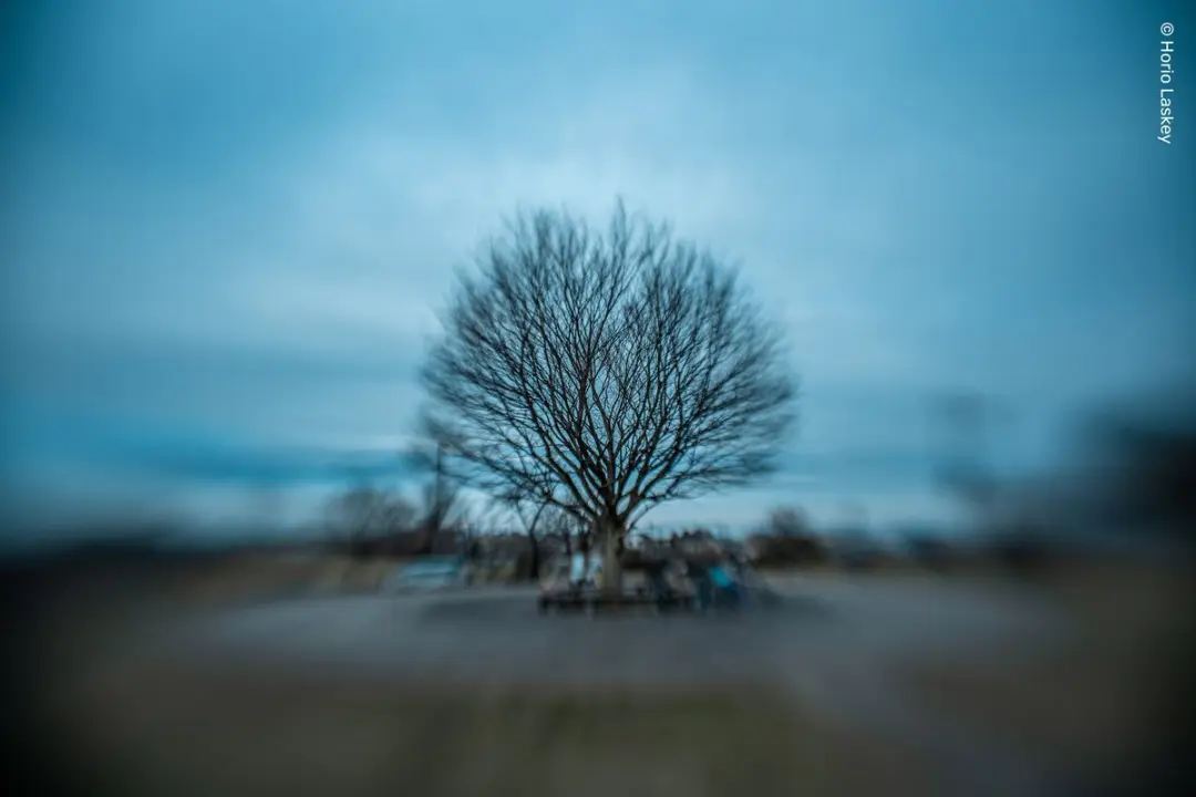 Lensbaby Sweet 22 Kit RF Objectief - 46mm - Canon - afbeelding 2 van 6
