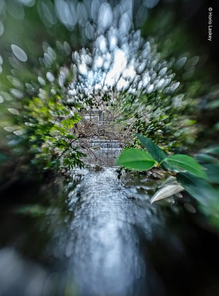 Lensbaby Sweet 22 Kit - Nikon Z Objectief - 46mm - Zwart - afbeelding 3 van 6