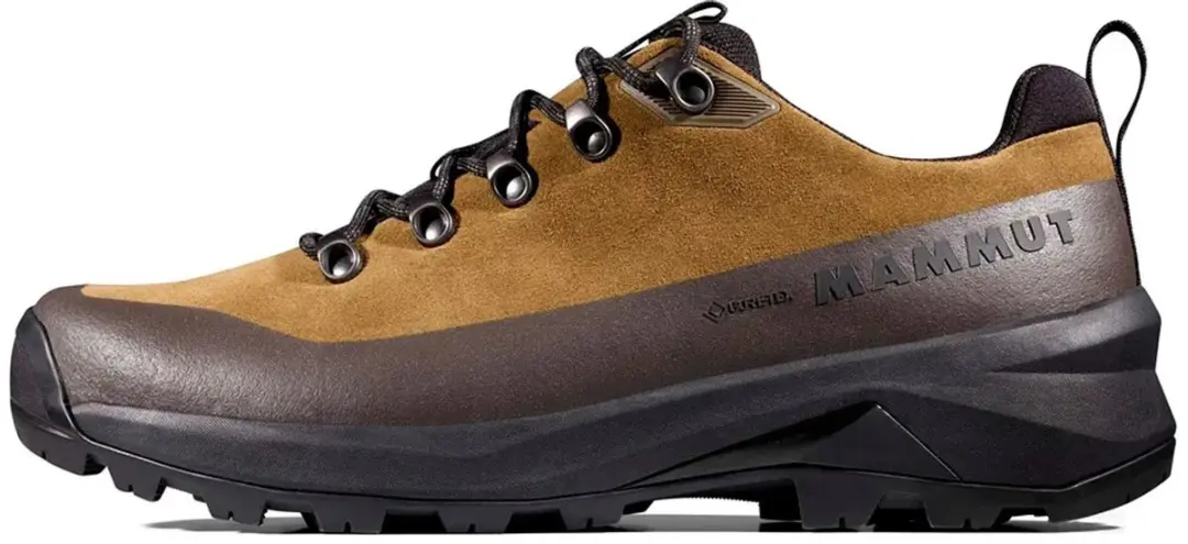 Mammut Ducan Iii Low Lth Gore-tex® Wandelschoenen Bruin EU 46 Man