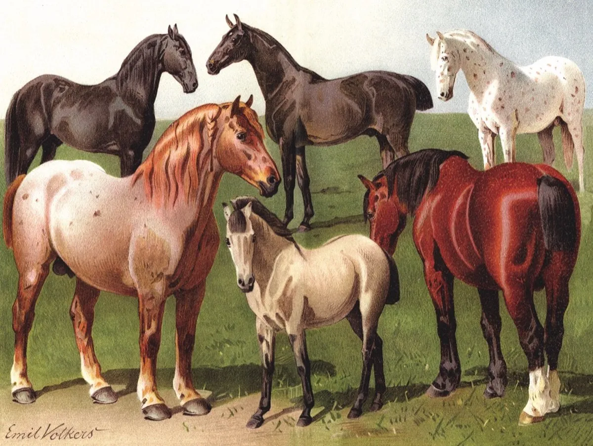 The New York Puzzle Company Vintage Images Horse Breeds 1000 Stuks - NPZPD1879