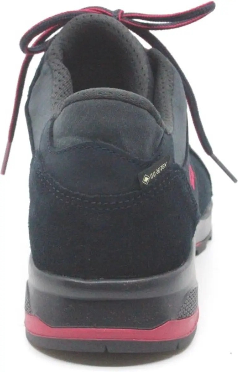 Hanwag Banks Low Lady GTX Wandelschoenen 39 - Navy/Pink