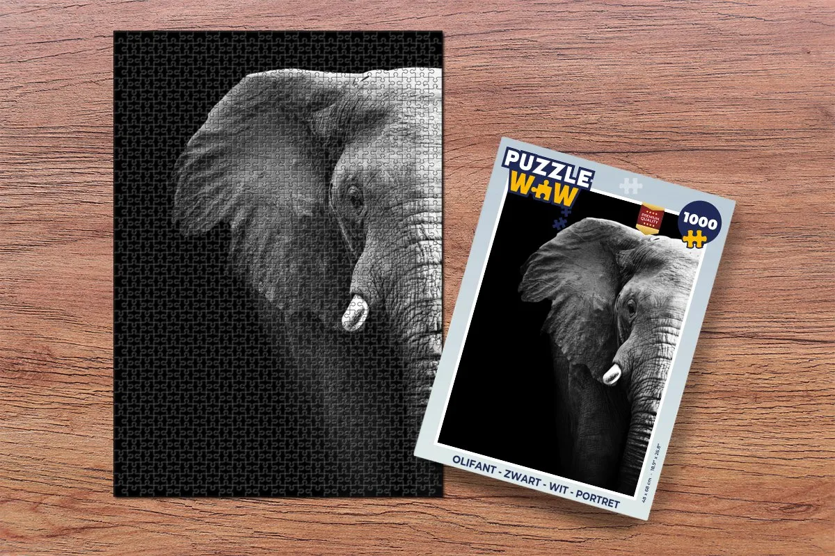 PuzzleWow Olifant Legpuzzel 1000 Stuks - Multicolor