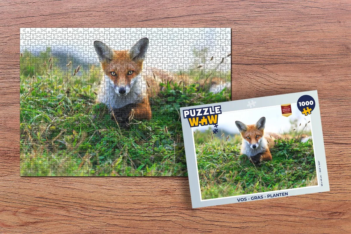 PuzzleWow Legpuzzel 1000 Stuks - Multicolor