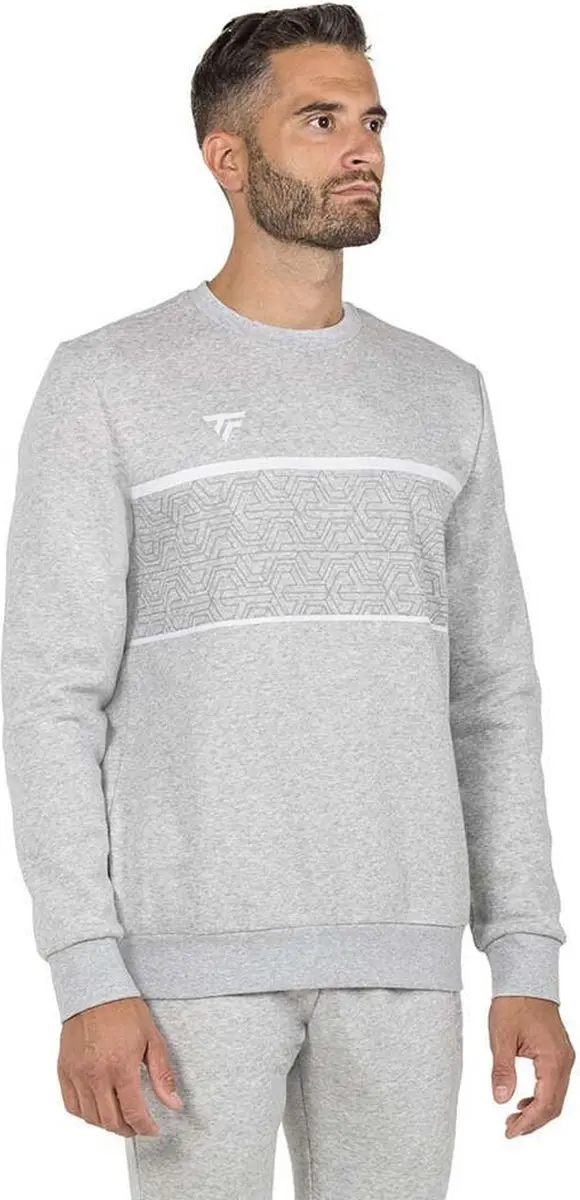 Tecnifibre Team Sweatshirt Grijs S Man