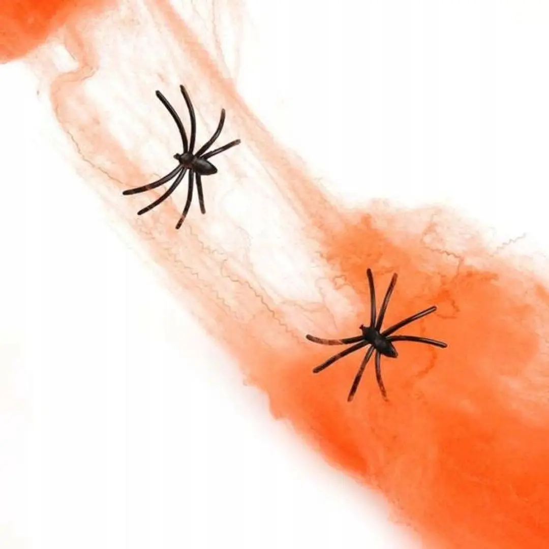 Halloween Kunstspinnenweb met Spin