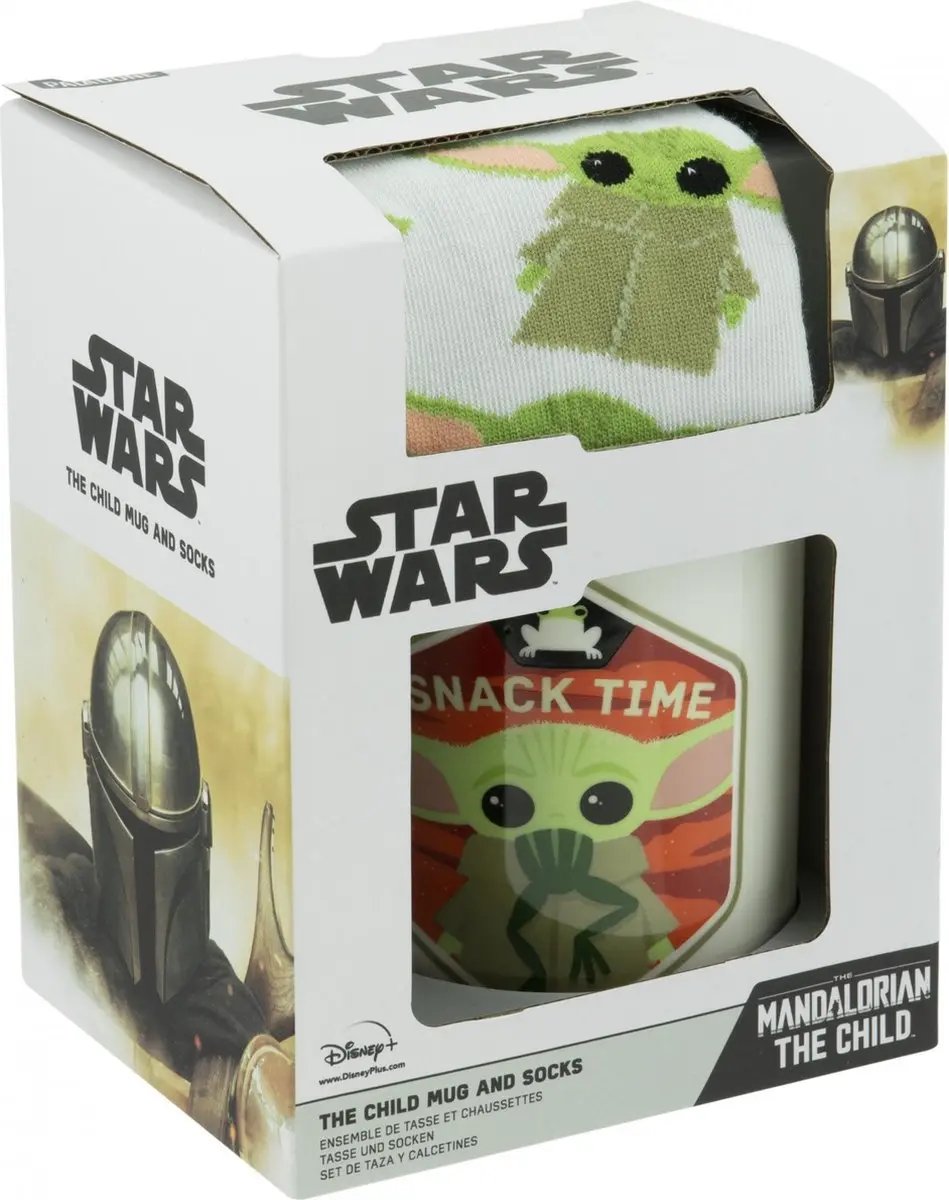 Star Wars the Mandalorian
