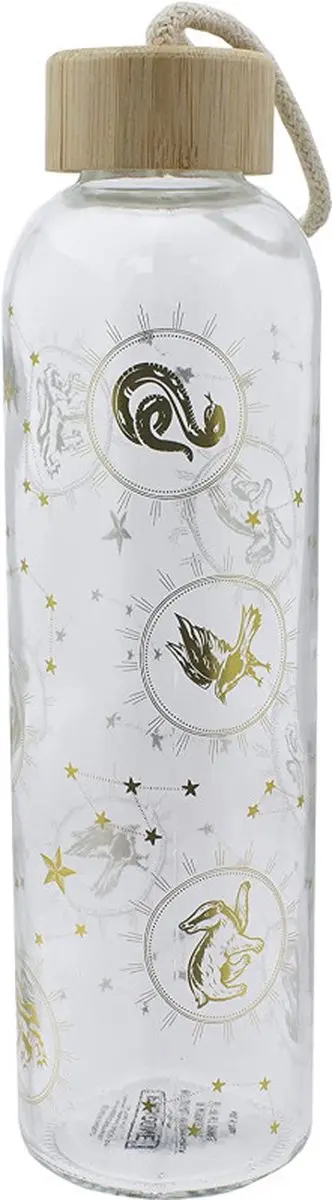 Paladone Harry Potter Glas Waterfles 590ml - Multicolor