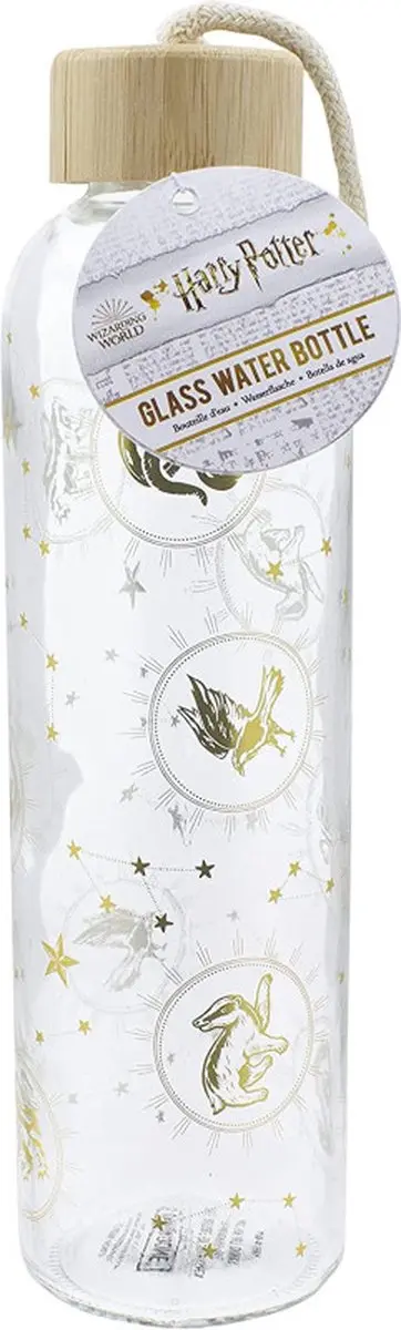 Paladone Harry Potter Glas Waterfles 590ml - Multicolor