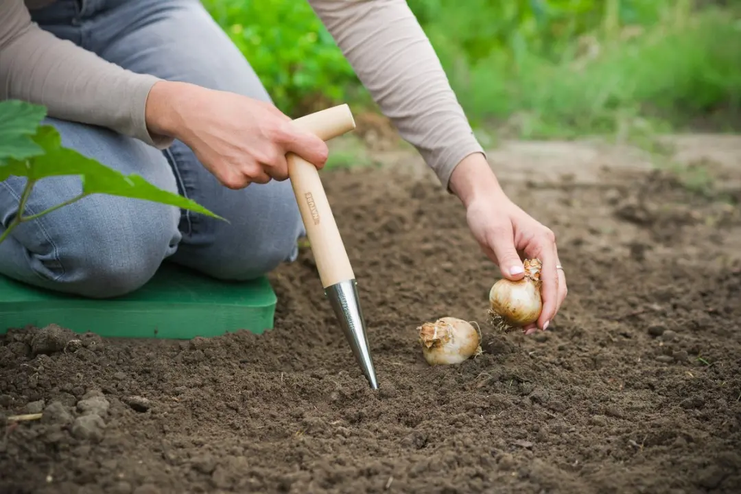 Nature Pootstuk met Houten Kruksteel - FSC-wilgenhout - afbeelding 2 van 3