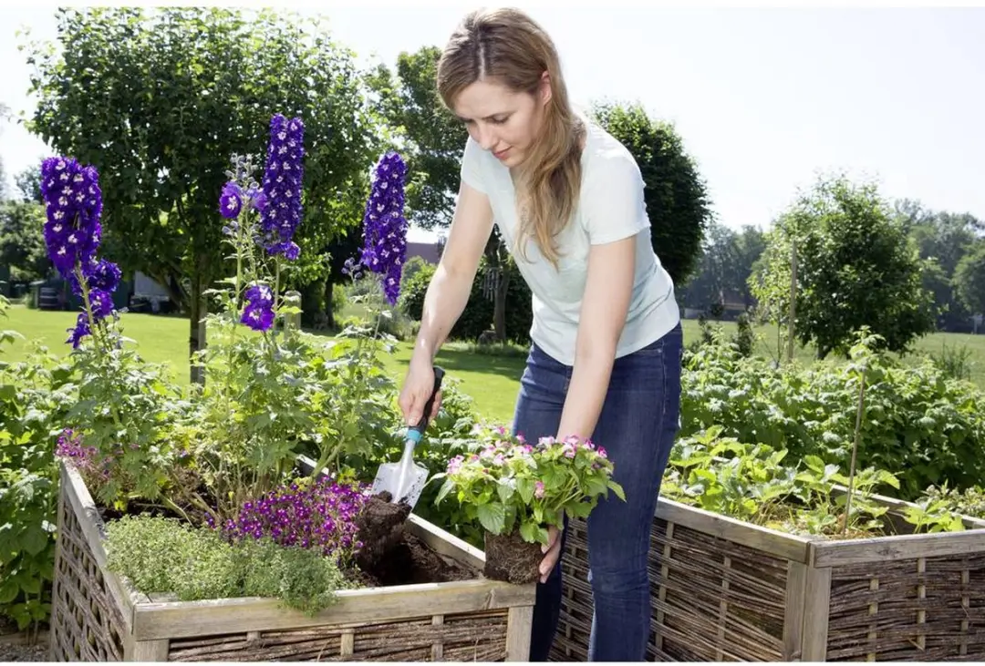 Gardena Comfort Kleingereedschapset - 3 Stuks - afbeelding 2 van 5