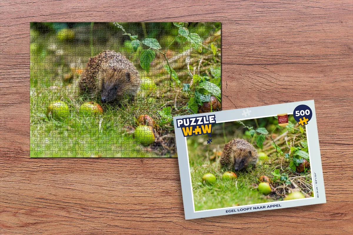 PuzzleWow Legpuzzel Egel naar appel 500 Stuks - Multicolor