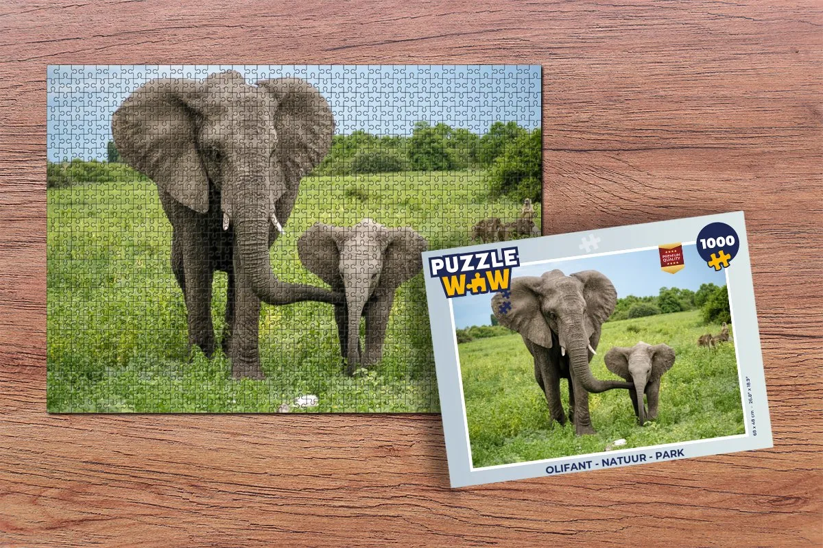 PuzzleWow Natuur Park Legpuzzel 1000 Stuks - Multicolor
