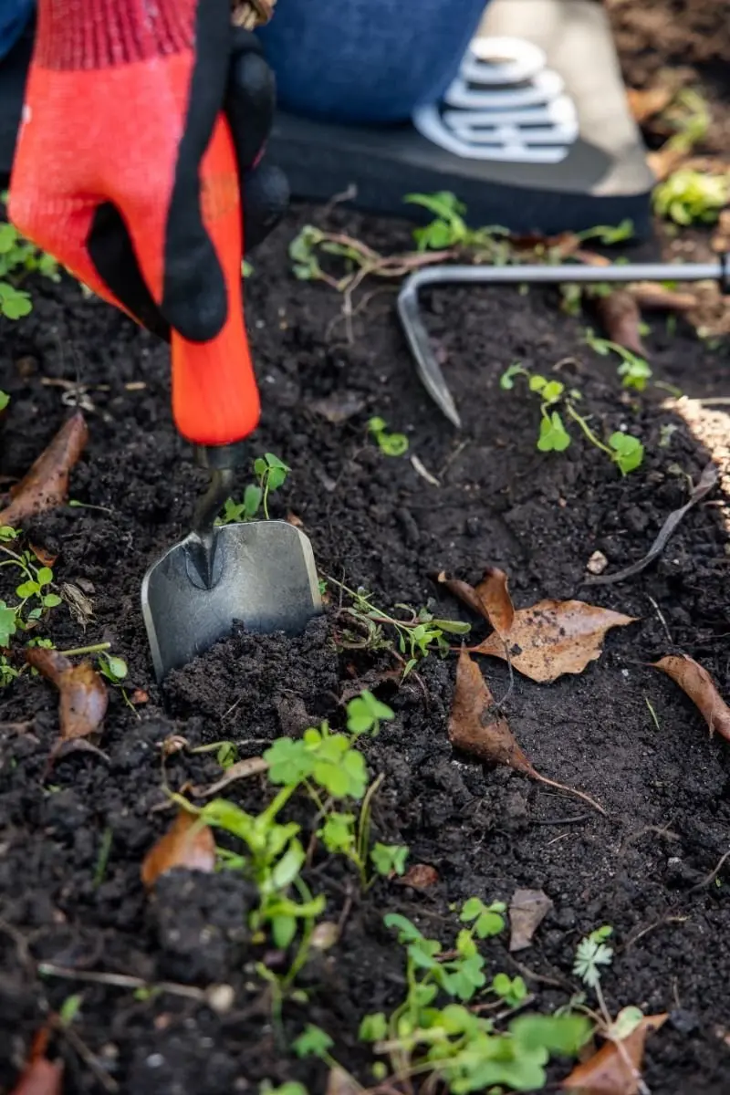 Felco 401 Tuinschep - afbeelding 2 van 6