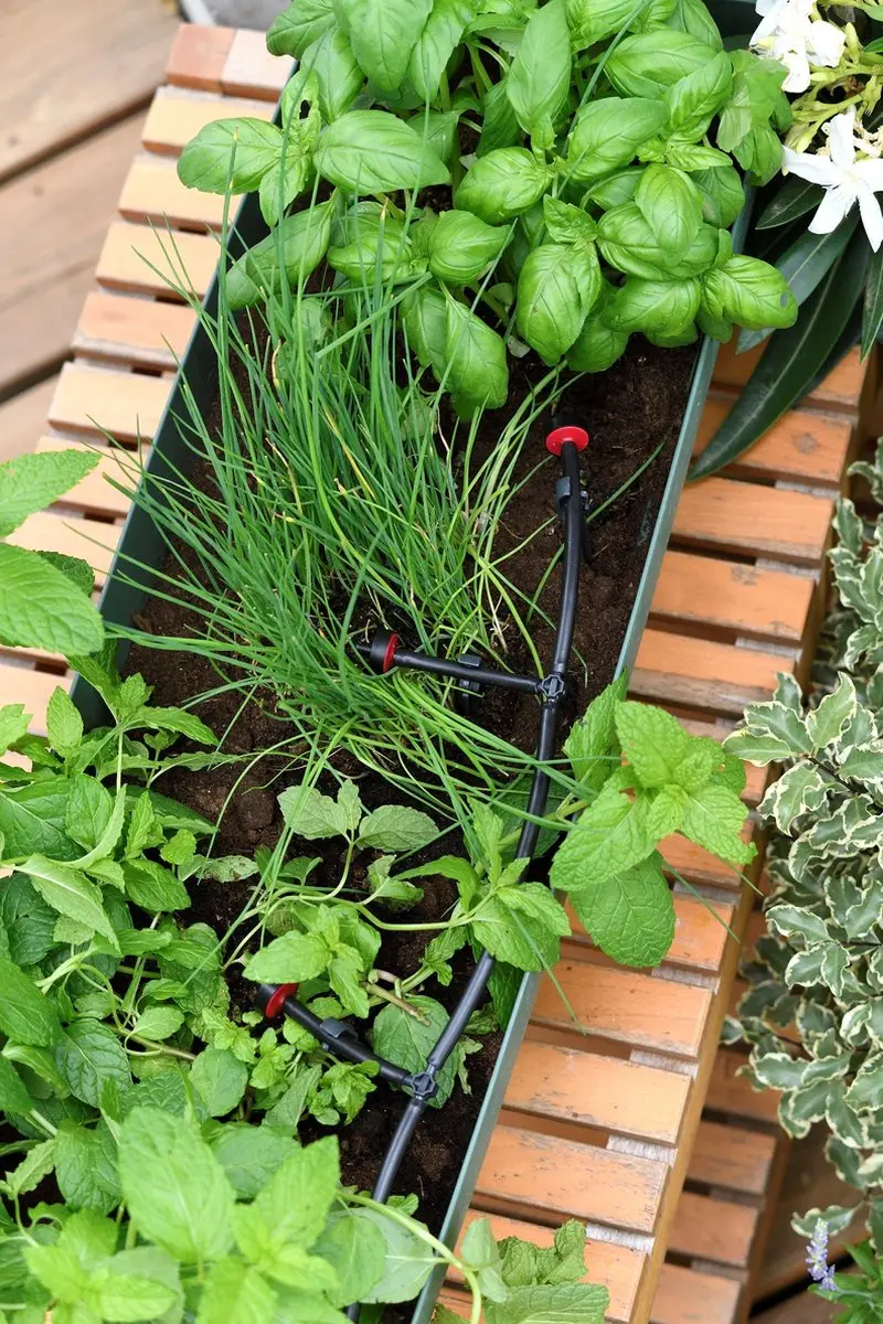 Hozelock Solar Drip Watering Kit - 2 Uitgangen - afbeelding 5 van 6