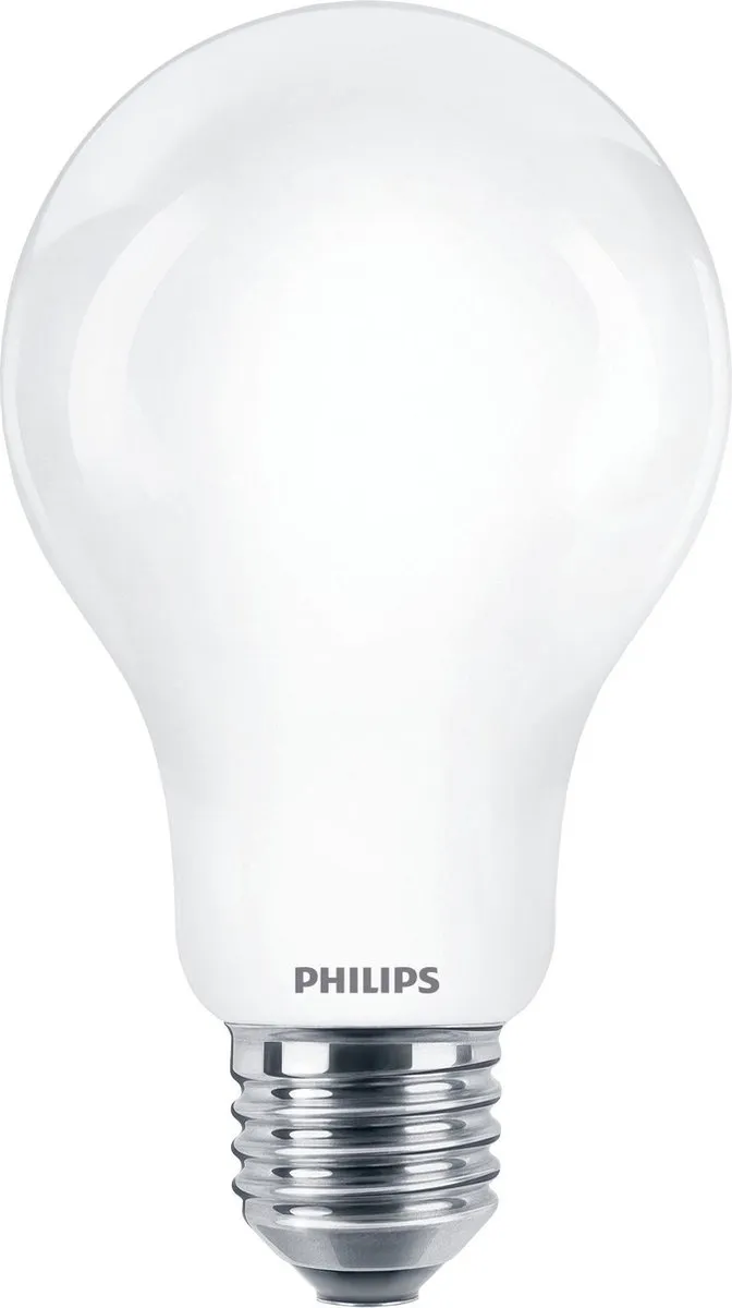 Philips LED E27 13W Daglicht Mat - 6500K - afbeelding 3 van 6