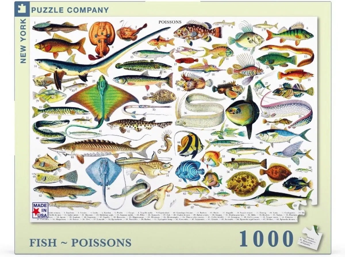 The New York Puzzle Company Vintage Images Fish Poissons - 1000 Stuks - afbeelding 6 van 6
