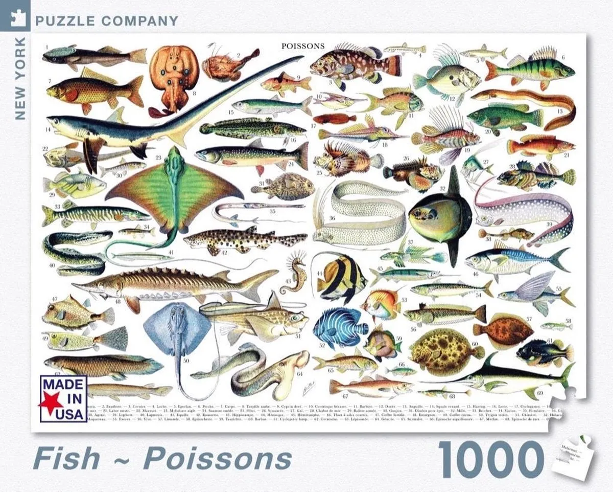 The New York Puzzle Company Vintage Images Fish Poissons - 1000 Stuks