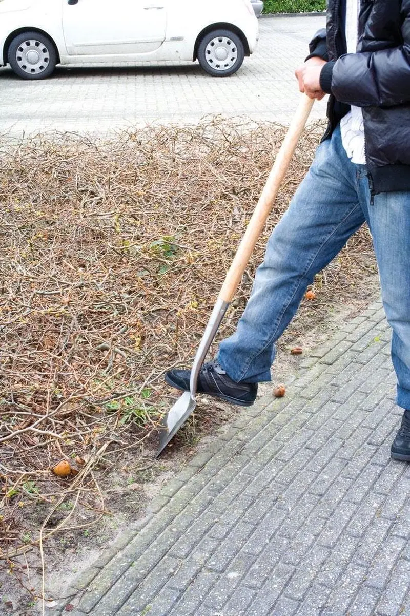 Talen Tools Spade Essenhouten steel 76cm - Blank geslepen - afbeelding 3 van 6