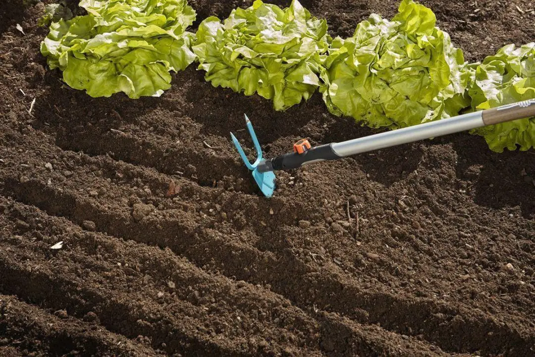 Gardena CS Tuinhak Hartvormig 2 Tanden 7cm - afbeelding 2 van 5
