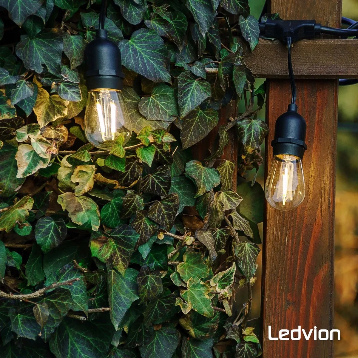 LEDVION Prikkabel 50M - 50x E27 LED Goud 50W 2100K IP65