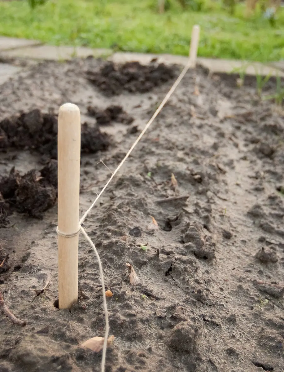 Nature Pootlijnset 20m - FSC Hout - afbeelding 3 van 3