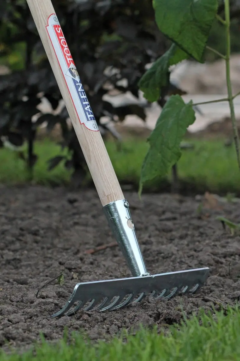 Talen Tools Tuinhark 12-tanden Verzinkt - 30cm - afbeelding 5 van 6