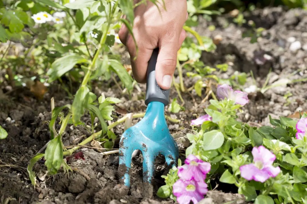 Gardena Rooivorkje 7,5cm - 08952-20 - afbeelding 5 van 6