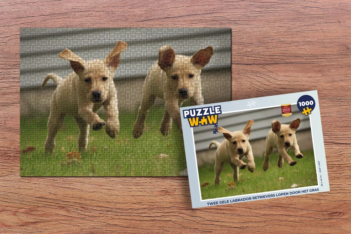PuzzleWow Legpuzzel Labrador Retrievers 1000 Stuks - Multicolor