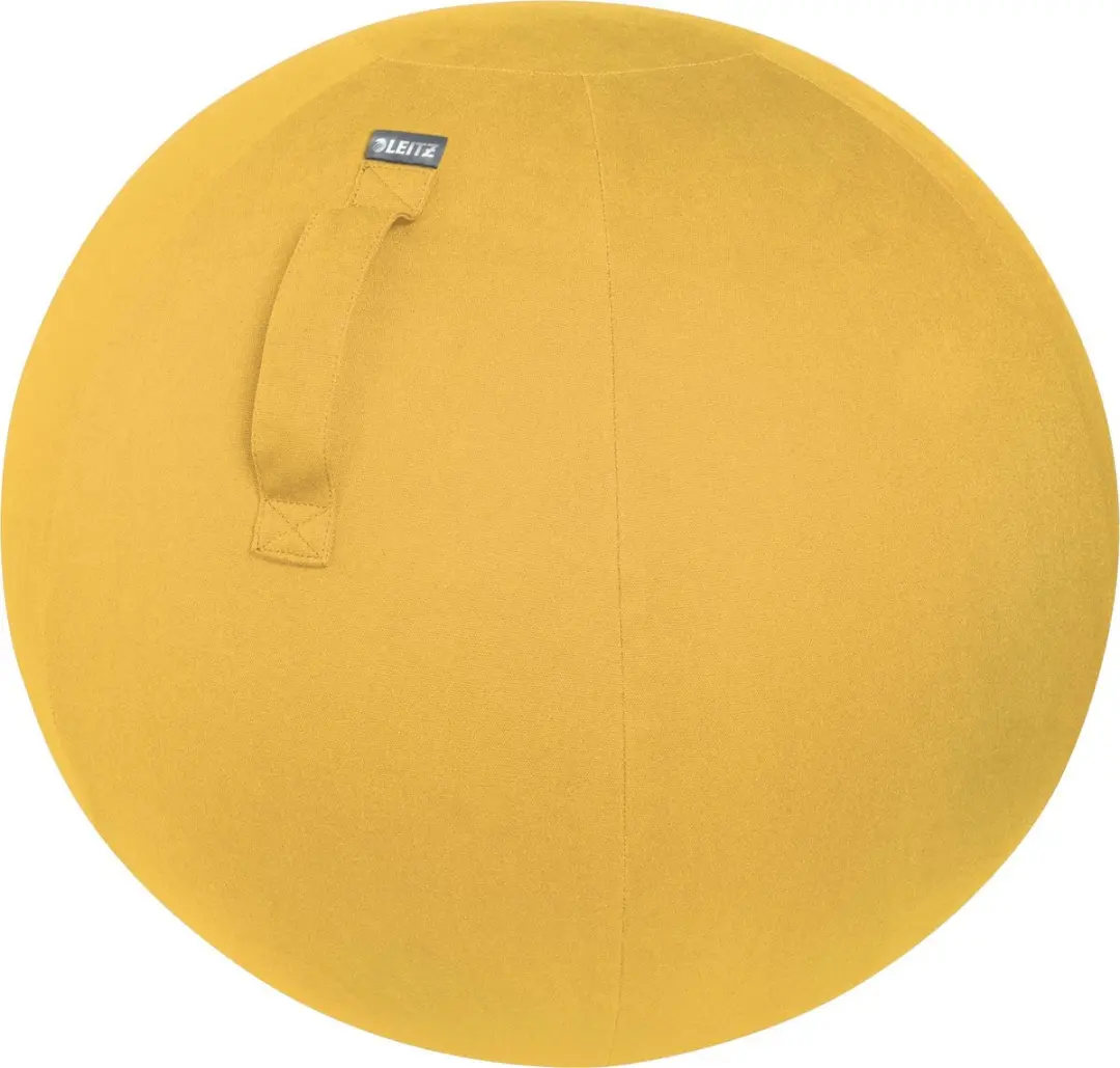 Leitz Ergo Cosy Actieve Ergonomische Zitbal 65 cm
