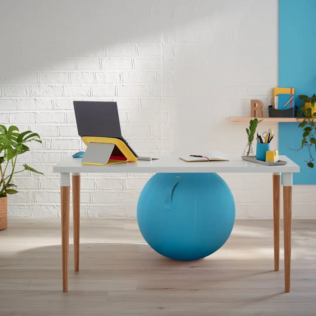 Leitz Ergo Cosy Actieve Zitbal 65cm - Sereen Blauw - afbeelding 6 van 6