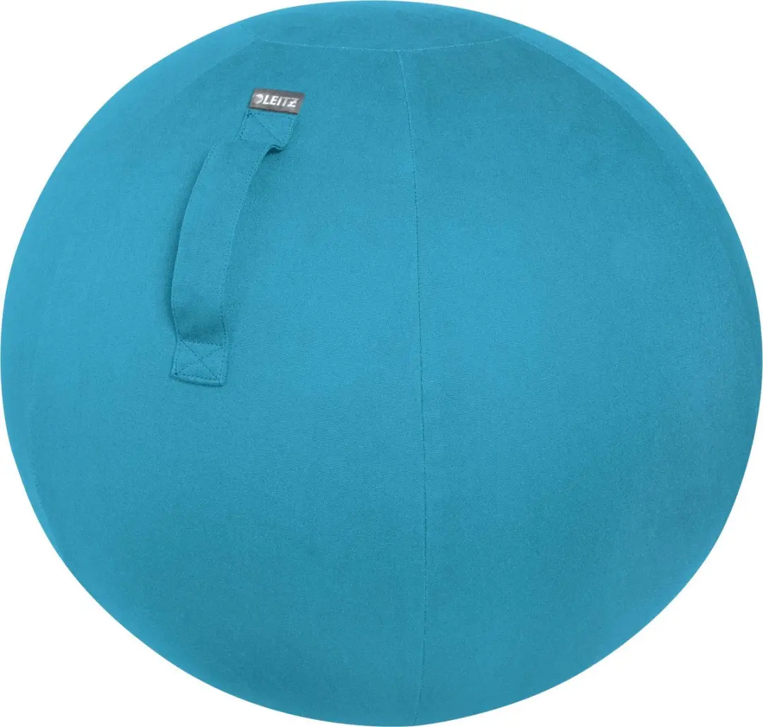 Leitz Ergo Cosy Actieve Zitbal 65cm