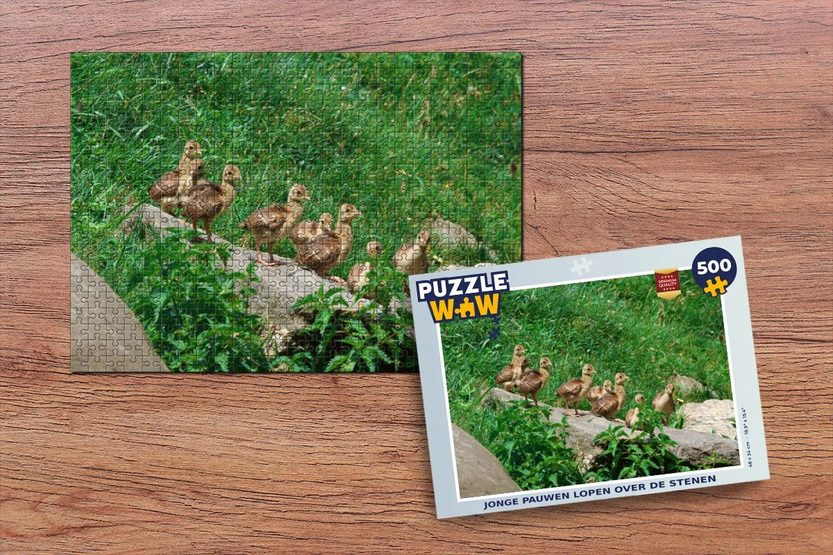PuzzleWow Vogels Gras Legpuzzel 500 Stuks - Multicolor