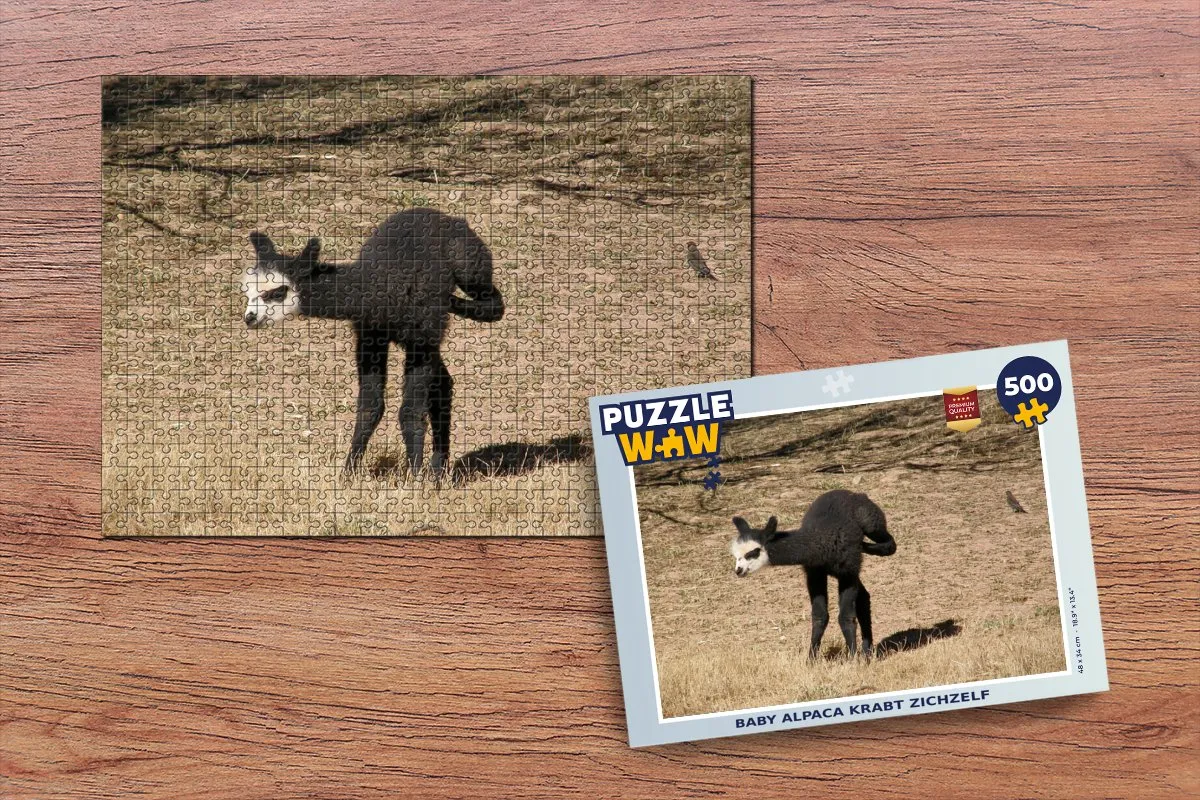PuzzleWow Alpaca Legpuzzel 500 Stuks - Multicolor