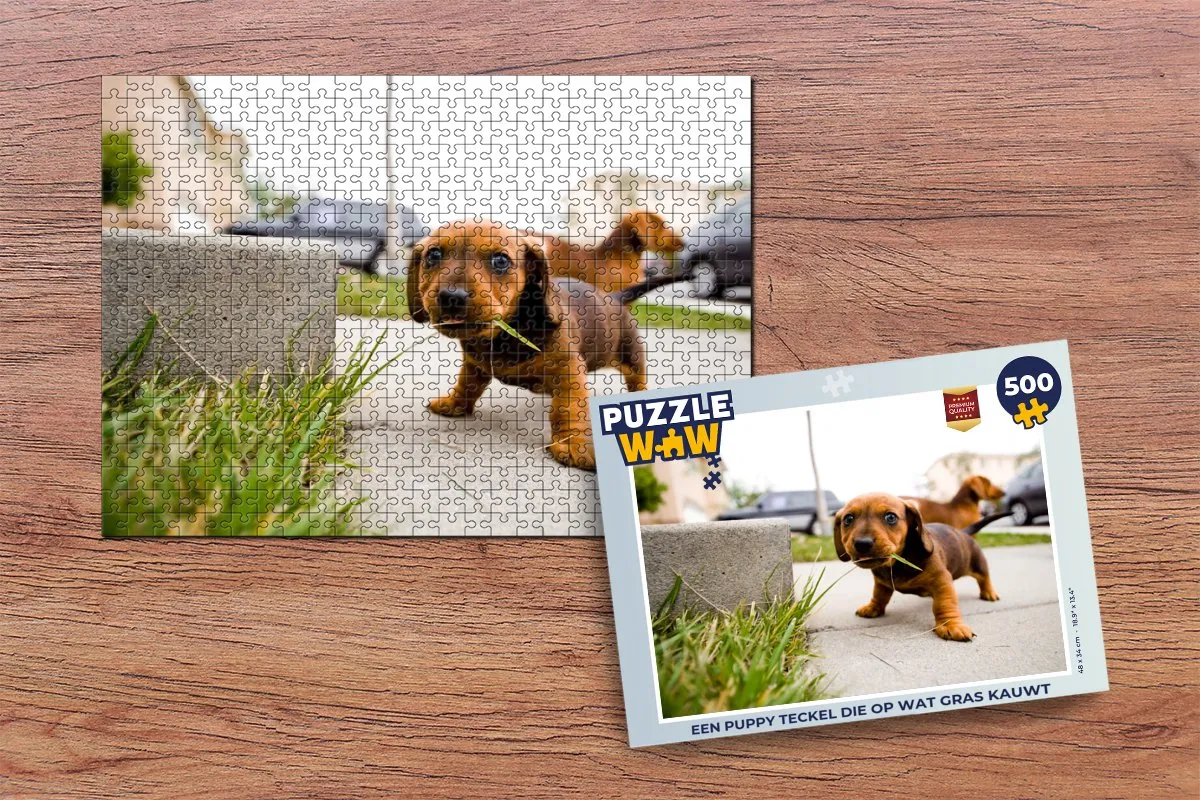 PuzzleWow Legpuzzel Een Puppy Teckel 500 Stuks - Multicolor