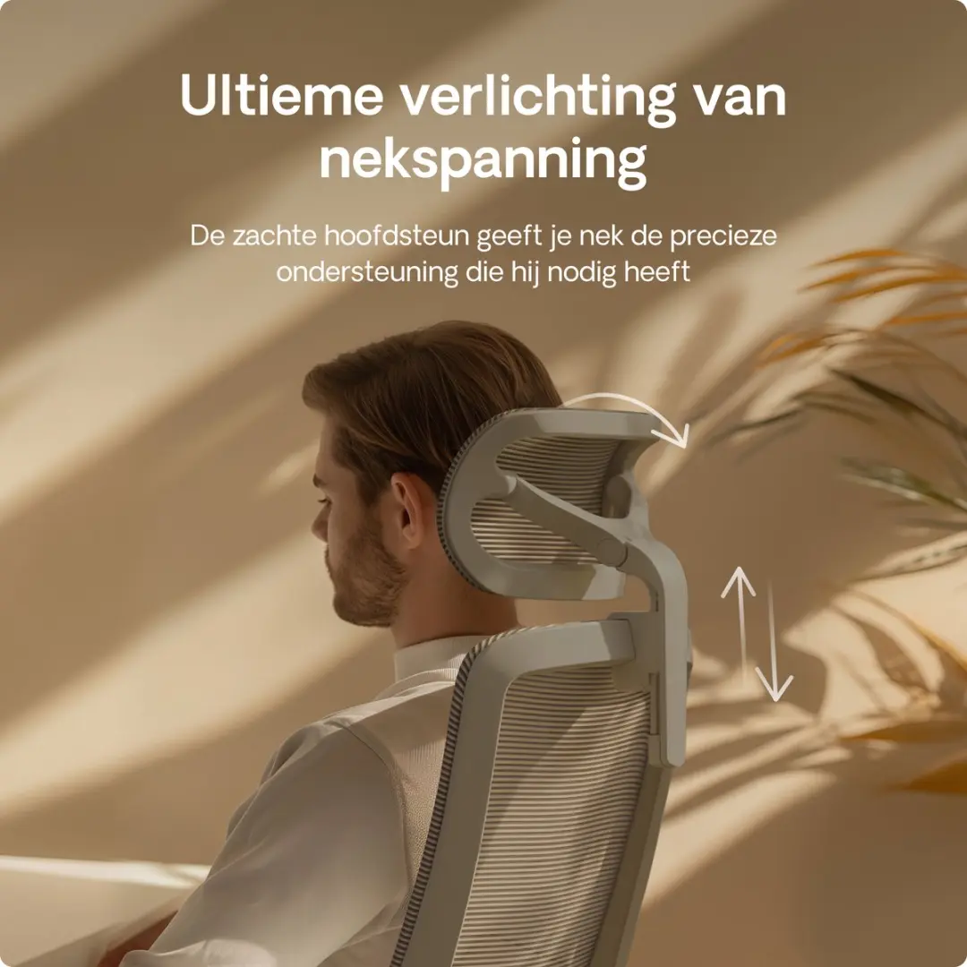 Desktronic SitOne Ergonomische Bureaustoel - Grijs